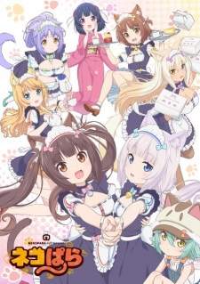 Nekopara Sub Indo