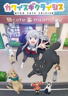 Kawaisugi Crisis Sub Indo